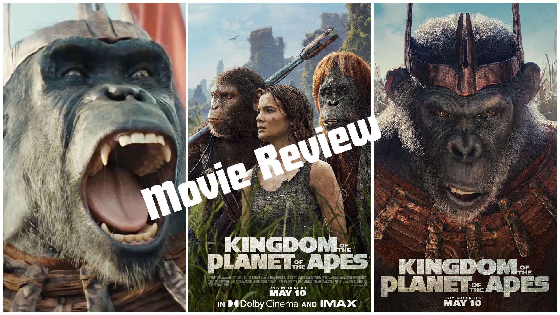 Kingdom of the Planet of the Apes Movie Review